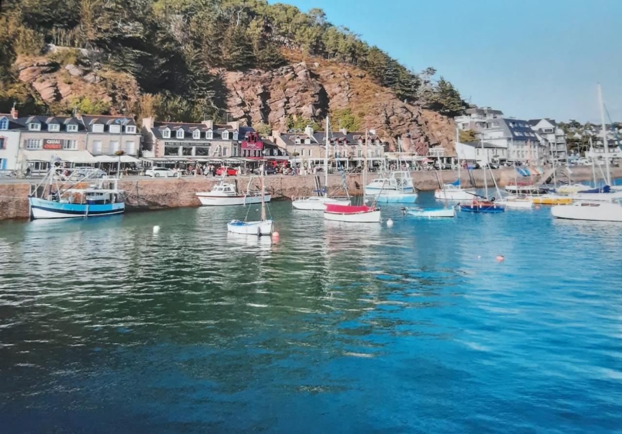 Appartement Devant La Mer Erquy Εξωτερικό φωτογραφία